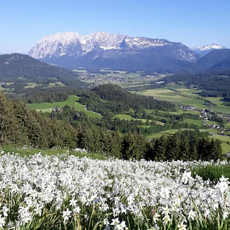 Great View Sonnenblick 276-1 Bad Mitterndorf