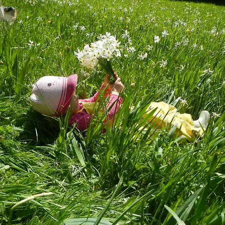 Great View Sonnenblick 276-1 公寓 巴德米滕多夫