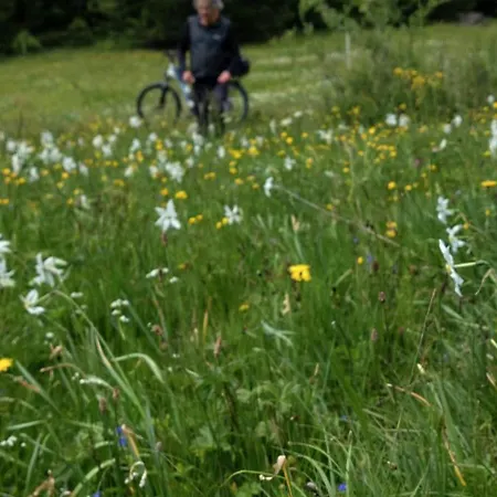 Great View Sonnenblick 276-1 Bad Mitterndorf