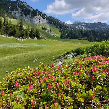 Great View Sonnenblick 276-1 公寓 巴德米滕多夫