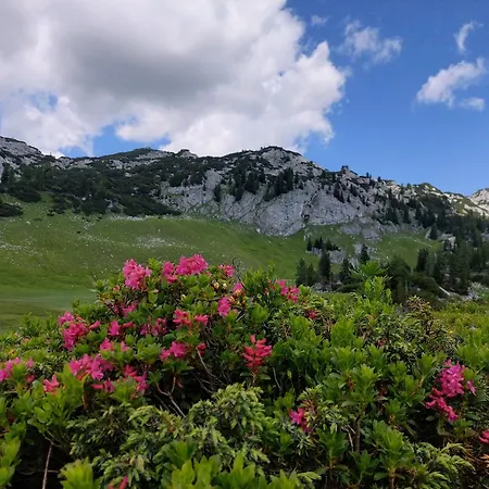 Great View Sonnenblick 276-1 Appartement *