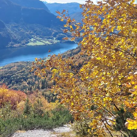 Great View Sonnenblick 276-1 Διαμέρισμα Bad Mitterndorf