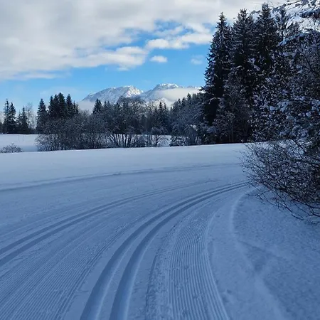 Great View Sonnenblick 276-1 公寓 巴德米滕多夫