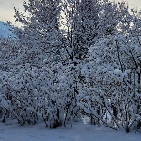 Great View Sonnenblick 276-1