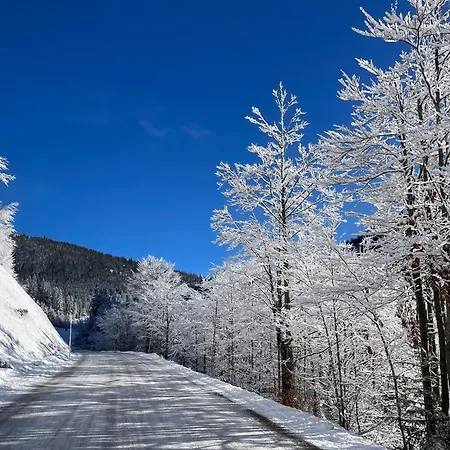 Appartement Great View Sonnenblick 276-1