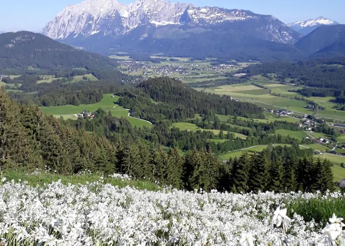 Great View Sonnenblick 276-1 Bad Mitterndorf