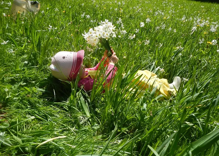 Great View Sonnenblick 276-1 Apartman Bad Mitterndorf