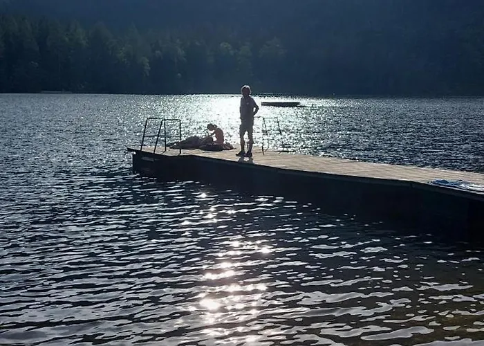 Apartamento Great View Sonnenblick 276-1 Bad Mitterndorf