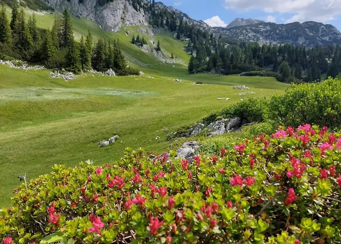 Great View Sonnenblick 276-1 Apartamento Bad Mitterndorf