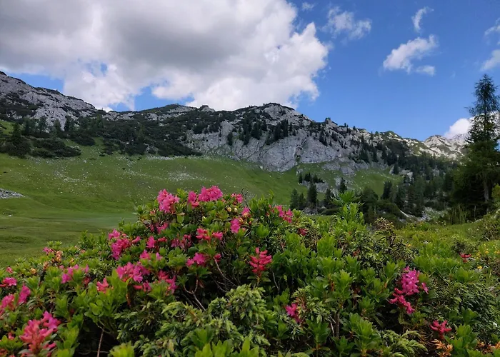 Great View Sonnenblick 276-1 Apartman *