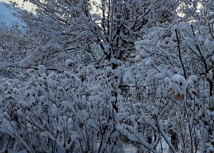 Great View Sonnenblick 276-1