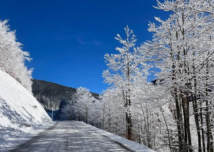 Apartman Great View Sonnenblick 276-1