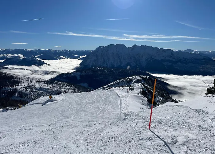 Great View Sonnenblick 276-1